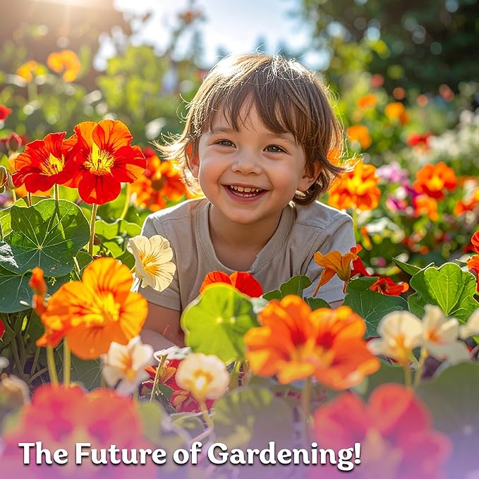 KVITER 75 Mix Jewel Nasturtium Seeds for Planting Outdoors (Tropaeolum Nanum) — Heirloom & Organic Seed Packet — Edible Flower Seeds to Plant Outside & Inside in Garden, Containers, Hanging Baskets