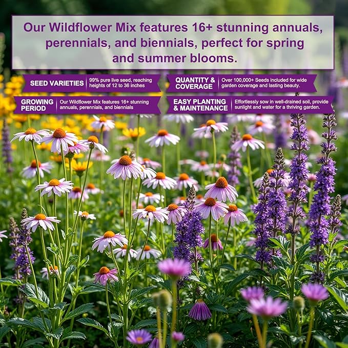200,000+ Wildflower Seeds [4oz] 16 Variety Perennial Mix - Non-GMO, USA-Sourced Heirloom Seeds for Pollinator Gardens | Attracts Bees/Birds/Butterflies | High Germination Rate for Indoor & Outdoor