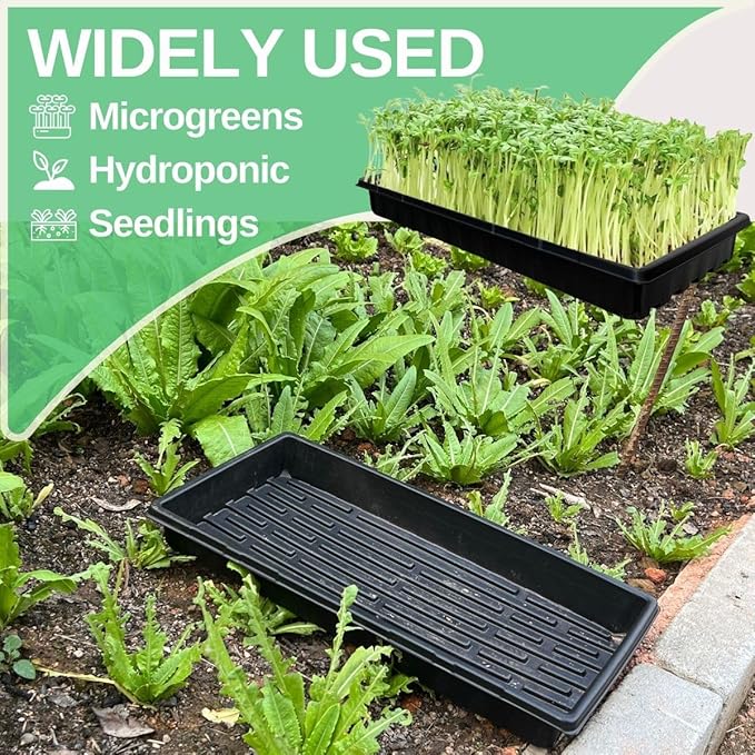 Standard 1020 Tray Sturdy Plant Growing Trays Plastic Seed Starter Tray for Microgreens Heavy Duty Seedling Trays No Drainage Holes 10 Pack