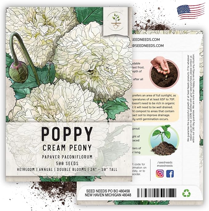 Seed Needs Cream Peony Poppy Seeds for Planting Poppies - Heirloom & Open Pollinated Soft White Flowers to Attract Butterflies & Pollinators to a Butterfly Garden (5 Packs)