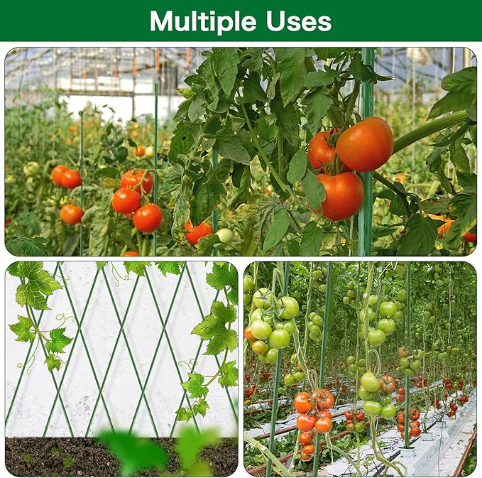 FEED GARDEN Garden Stakes 72 Inch 6ft 25 Pack, Sturdy Plant Metal Sticks Support, Plastic Coated Plant Stakes,Tomato Stakes, Beans,Trees