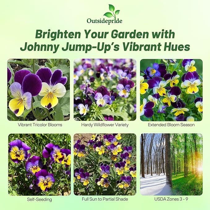 Outsidepride Johnny Jump Up Viola Wild Flower Seeds - 5000 Pcs Easy-to-Grow, Compact & Hardy Perennial Seeds for Planting Outdoors, Ideal for Pollinators, Garden Beds, Containers, & Hanging Baskets