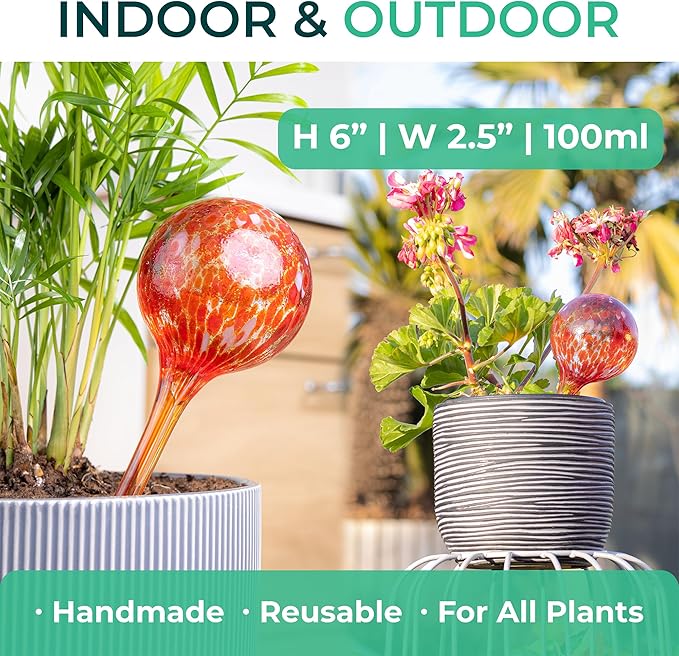 Reifier 6-Pack Plant Watering Globes - Self Watering Bulbs for Indoor & Outdoor Plants - Hand-Blown & Colorful Water Globes - Aqua Globes for Plants - Measures 6" L x 2.5" D
