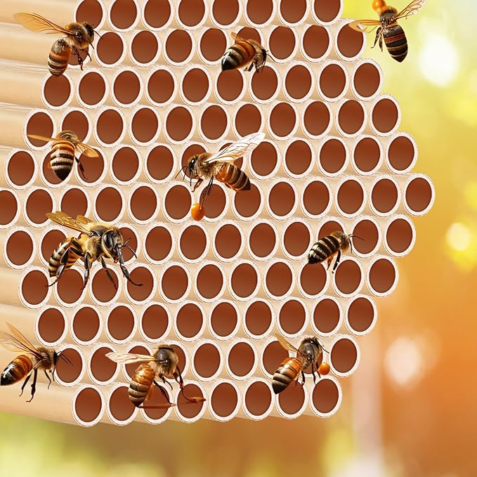 Tinideya 250 Pcs Phragmite Reed Mason Bee Tubes Set Bee Hotel Nest Box Pollinator Bee Box for Mason Bee Houses Natural Phragmite Bee Nest Bees Supplies Refill Your Mason Bee House Bee Hive
