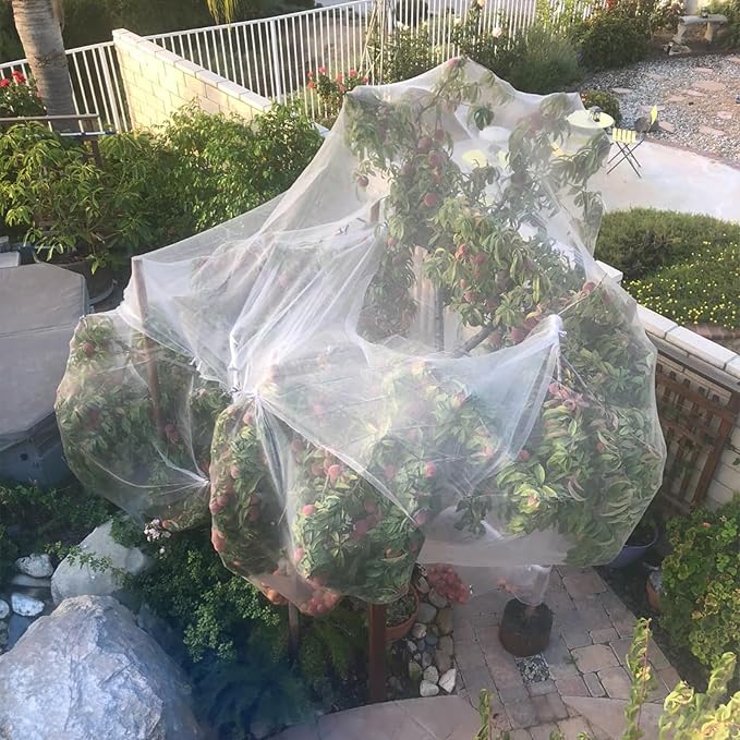 GonLei Garden Netting 10 X 30 FT Ultra Fine Garden Mesh Netting Protection Net Plant Cover Screen Vegetable Row Cover,Blueberry Netting Shrubs Fruits Tree Flowers Garden Screen Barrier Net