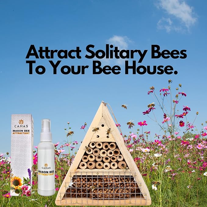Camas Mason Bee House Attractant, Unique Solitary Pollinator Supplies Such as Mason Bee House Lure can greatly Benefit Mason Bee or Leaf Cutter Bee Nesting Kits