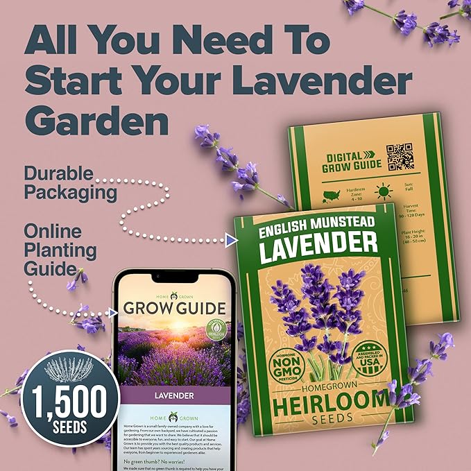 HOME GROWN Non GMO English Lavender Seeds 3,000+ Wildflower Seed for Planting Indoor/Outdoor, High Germination, Plant Flower Seeds (Lavandula antustifolia)