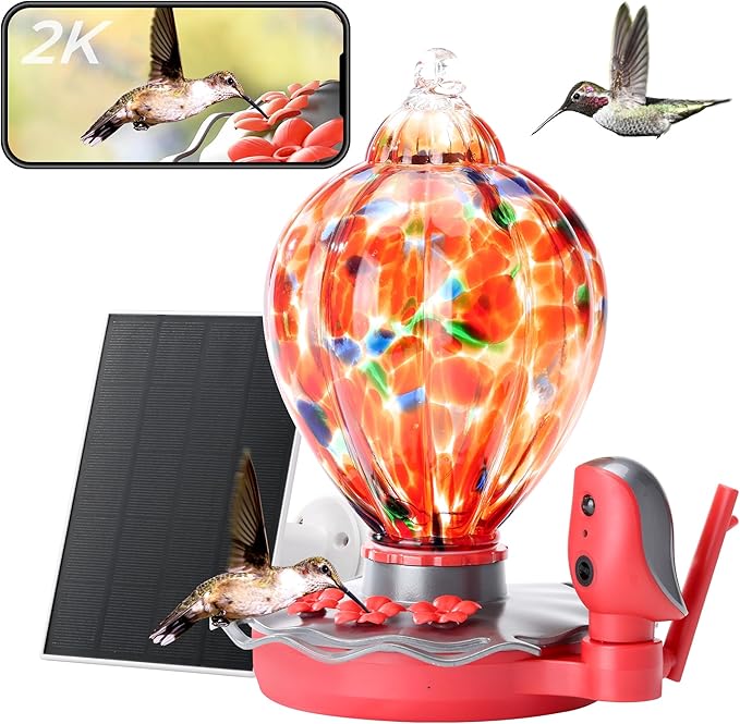 Smart Glass Hummingbird Feeder with Camera Solar Powered 2K- AI Identify & Water Detection, Instant Notification, Leakproof & Ant Moat TT Nature