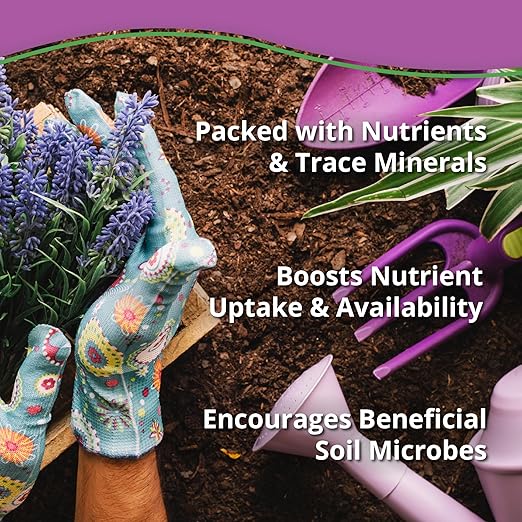 Kelp Bliss (40lbs) - Kelp Meal Organic Fertilizer for Plants, Garden Soil, Flowers, Vegetables, & Lawns - Organic Plant Food Rich in Vitamins & Nutrients - 100% Natural Renewable Soil Amendment