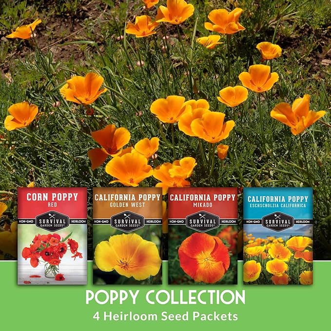 Poppy Collection 4 Variety Pack of Seeds for Planting – California, Golden West, Mikado & Red Corn Poppy Varieties – Non-GMO Heirloom Wildflower Collection - Survival Garden Seeds
