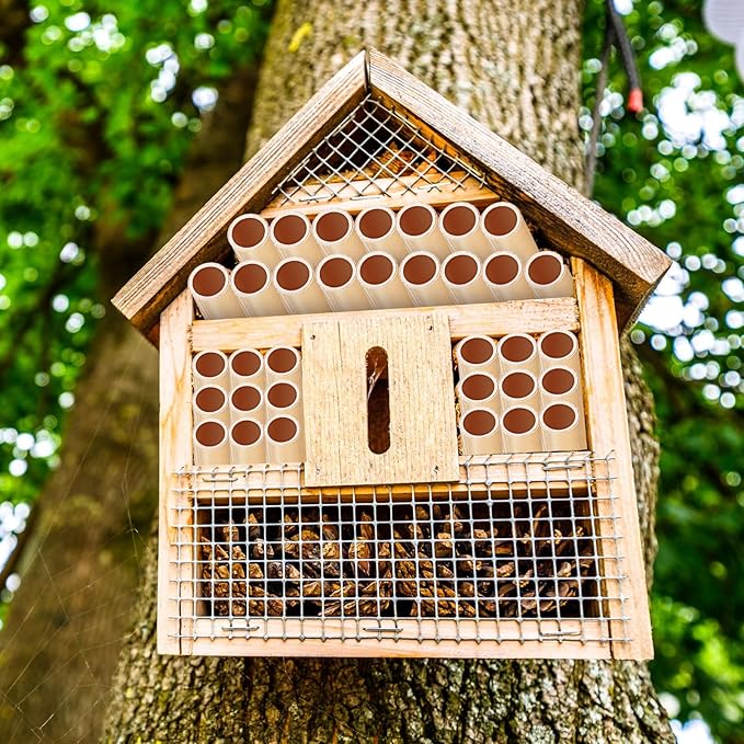Tinideya 250 Pcs Phragmite Reed Mason Bee Tubes Set Bee Hotel Nest Box Pollinator Bee Box for Mason Bee Houses Natural Phragmite Bee Nest Bees Supplies Refill Your Mason Bee House Bee Hive