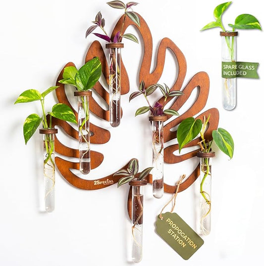 2Special Propagation Stations | Hanging Propagation Station and Wall Planters for Indoor Plants | Wooden Wall Vase, 6+1 Glass Propagation Vases for Plants | Leaf Shape Plant Propagation Station