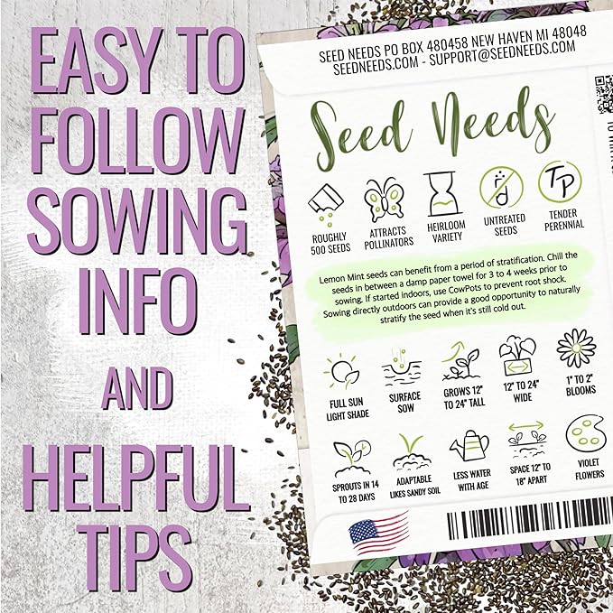 Seed Needs Lemon Mint Seeds for Planting Monarda citriodora Herbs - Grow a Non-GMO Heirloom & Untreated Medicinal Herb Garden Indoors or Outdoors - Popular in Herbal Tea (1 Pack)