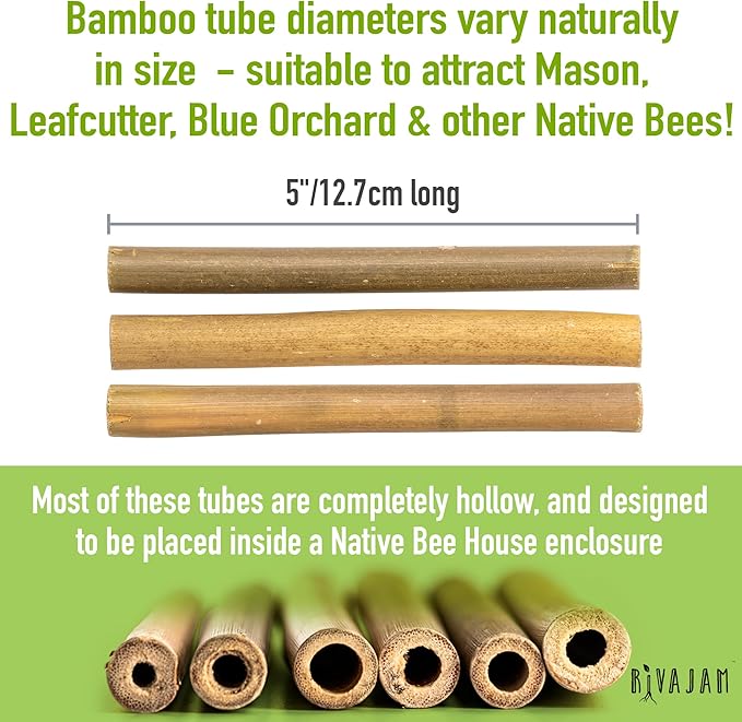 Rivajam 125 Bamboo Sticks for Crafts Supplies | Bamboo Craft Sticks & Mason Bee Tubes for Mason Bee House | Bamboo Reed Mason Bee Straws for Solitary Bee Box, Bee Hotel & Pollinator Gardens