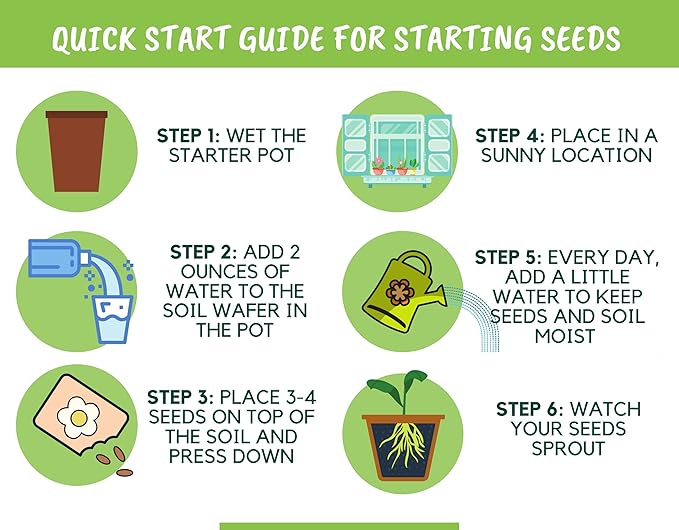 Butterfly Garden Flower Seed Starter Kit - Grow 6 Types of Wildflower Seeds Including Milkweed, Coreopsis, Cosmos, Echinacea, Gaillardia and Zinnia Seeds