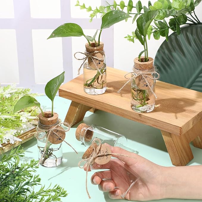 Baderke 48 Pcs 3.54'' Plastic Plant Propagation Stations with Hole Lid 4oz Planter Vase Clear Propagation Jars with Thank You Tags for Plant Lover Gifts for Women Office Home Garden