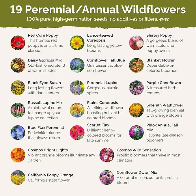 Eden Brothers New Jersey Wildflower Mixed Seeds for Planting, 1 lb, 480,000+ Seeds with Cornflower, Coneflower | Attracts Pollinators, Plant in Spring or Fall, Zones