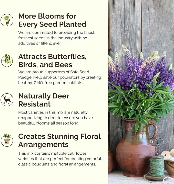 Eden Brothers Texas Wildflower Mixed Seeds for Planting, 1 lb, 480,000+ Seeds with Cornflower, Birds Eyes, African Daisy | Attracts Pollinators, Plant in Spring or Fall, Zones 3, 4, 5, 6, 7, 8, 9, 10
