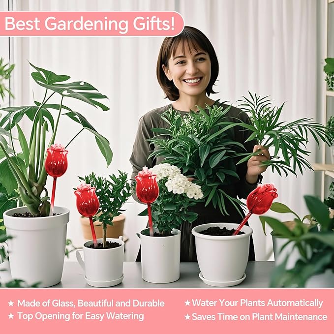 Large Plant Watering Globes Set of 3-10 oz Indoor/Outdoor Large Self Watering Globes Planter Insert, for Mother/Father/Friend/Plant Enthusiasts (Red Rose)
