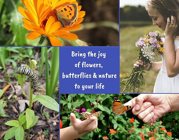 Butterfly Garden Flower Seed Starter Kit- Grow 6 Types of Wildflower Seeds Sized for Flower Pots- Nasturtium, Zinnia, Cosmos, Dwarf Sunflower, Baby Snapdragon and Candytuft