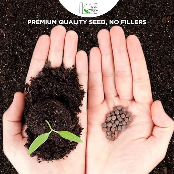 Wildflower Seed Mix 1LB Tub - Save The Bees Seed Mix, by GevaGrow | Bulk 300,000+ Seeds | Pollinator & Bee Attracting Flower Seeds Bulk for Planting in Pots & Outdoor Gardens | 1 Pound Tub