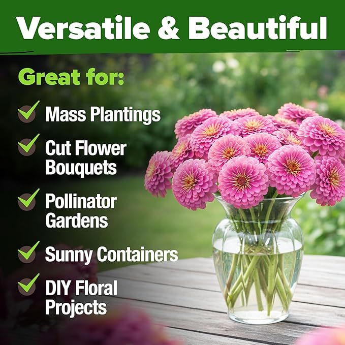 HOME GROWN Flower Seeds Giant (Zinnia Luminosa, 2-Pack)