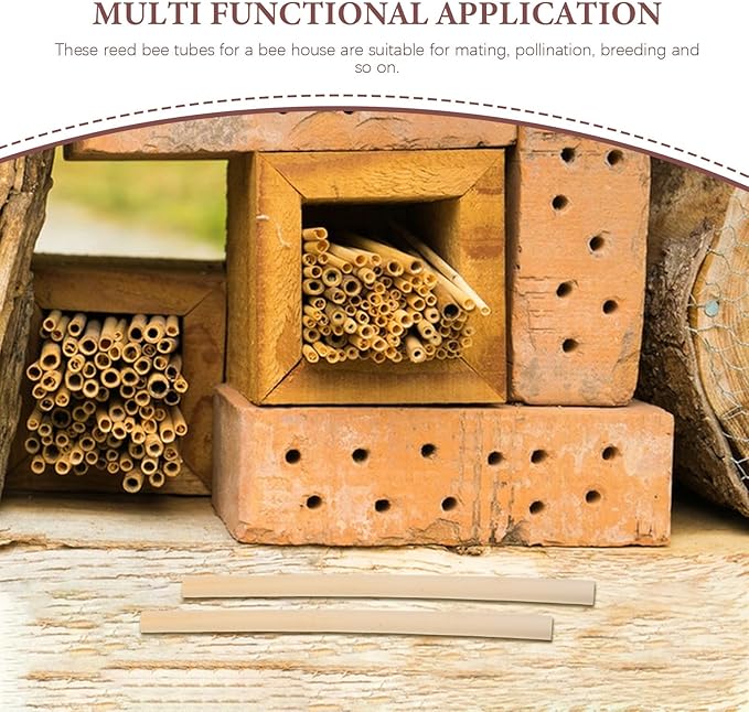 HANABASS 100 Pcs Mason Bee Tubes Natural Reed Nesting Refill for Bee House Hotel, 6 Inch Native Pollinator Nesting Supplies for Backyard Garden Mason Reeds