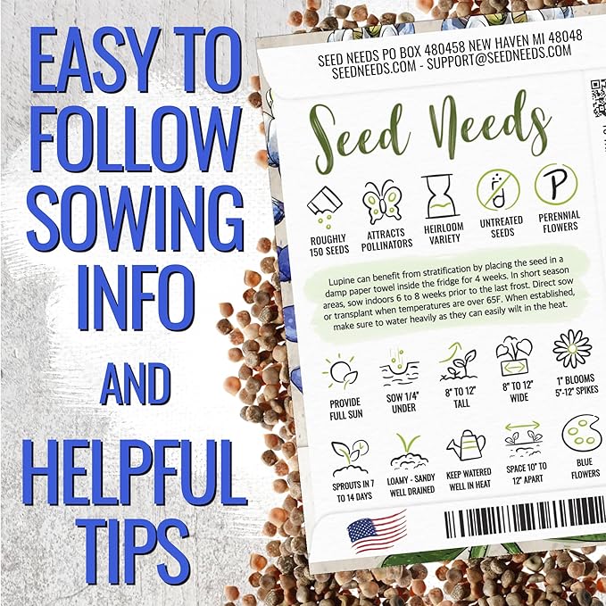 Seed Needs Texas Bluebonnet Seeds for Planting Blue Lupinus Flowers - Heirloom & Open Pollinated Wildflower Seed to Plant an Outdoor Butterfly Garden to Attract Pollinators (XL Pack)