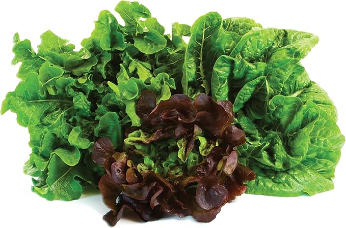 Jobe's Organics Granular Blood Meal Fertilizer, Excellent Source of Nitrogen for Spinach, Broccoli, and Leafy Greens, 3 lbs Bag