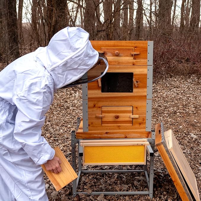 Aivituvin Bee Hive Bee Box 10 Frame Upgrade with All -Around Metal Frame Bee Castle Coated with 100% Beeswax Includes Waxed Foundations,2 Deep Boxes & 1 Medium Box