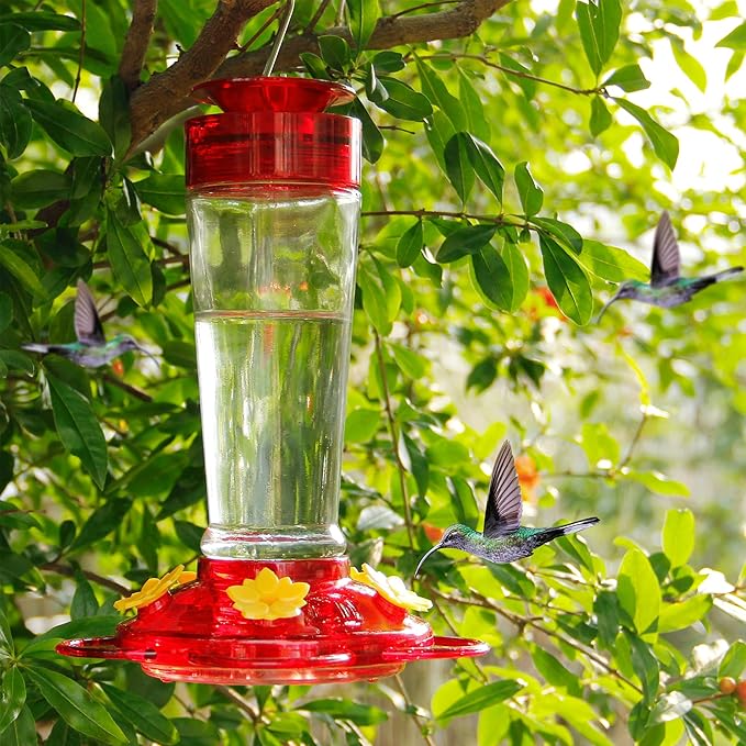 Shrdaepe Hummingbird Feeder, Glass Bottle Bird Feeders, 5 Feeding Ports, 10-Ounce Nectar Capacity