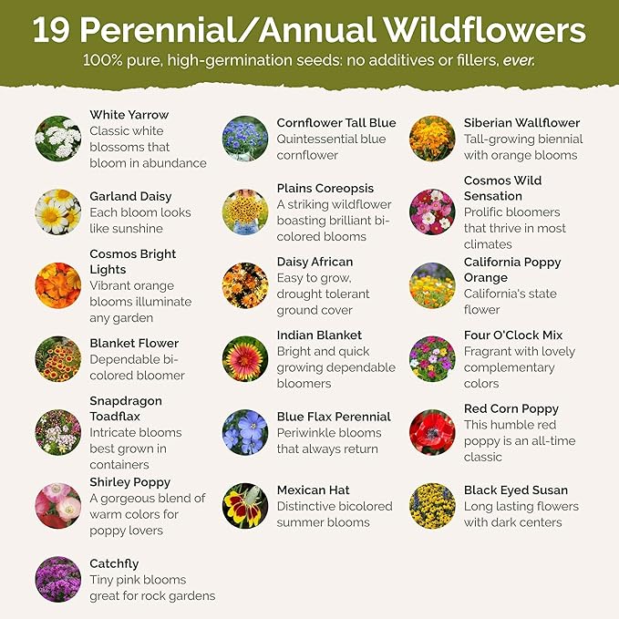 Eden Brothers Nevada Wildflower Mixed Seeds for Planting, 1/4 lb, 120,000+ Seeds with Yarrow, Cosmos | Attracts Pollinators, Plant in Spring or Fall, Zones