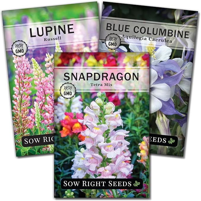 Sow Right Seeds - Hummingbird Seed Collection for Planting - Snapdragons, Russell Lupine, and Columbine - Seed Kit for Pollinators - Non-GMO Heirloom with Instructions to Plant - Makes a Great Gift