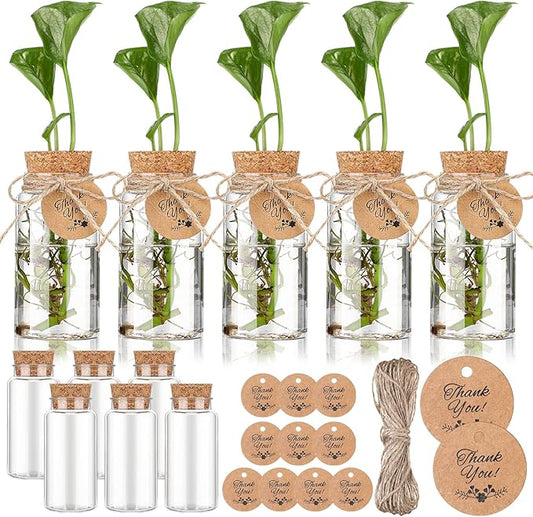 Baderke 3.54'' Plastic Plant Propagation Stations with Hole Lid 4oz Planter Vase Clear Propagation Jars with Thank You Tags for Plant Lover Gifts for Women Office Home Garden(12 Pack)