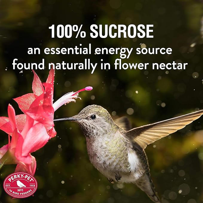 Perky-Pet Hummingbird Nectar Concentrate for Hummingbird Feeder - 32 oz - Makes 96 FL OZ of Red Food Nectar - 238