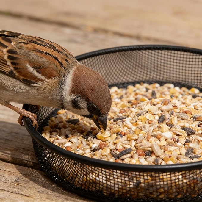 2 Pcs Ground Bird Feeder, Metal Mesh Round Birds Seed Feeder Tray Mesh Tray Outdoor Accessory