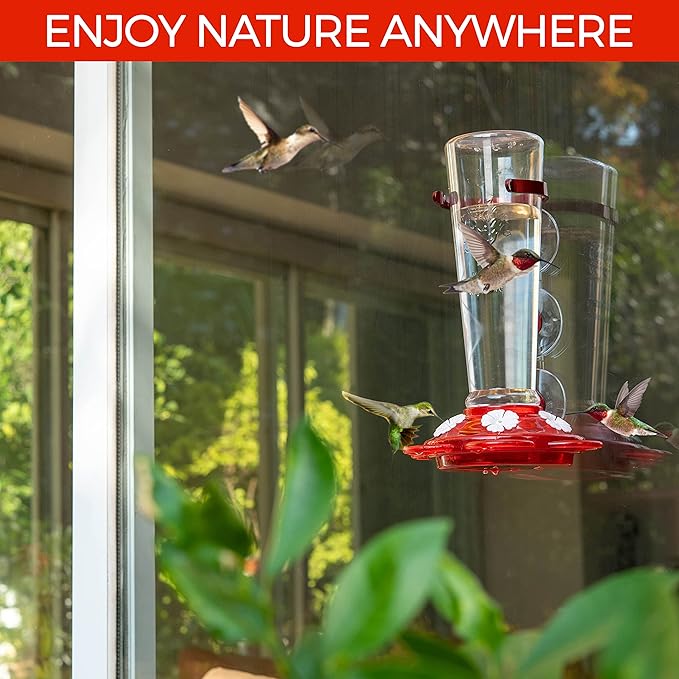 Window Hummingbird Feeders for Outdoors Including 3 Colors of Interchangeable Flowers for Hummingbirds Food and Nectar (2 Pack)