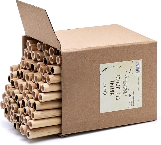 Rivajam 75 Phragmite Reed Mason Bee Tubes | Recommended for Garden Starter Kits & Solitary Bee Hive Supplies