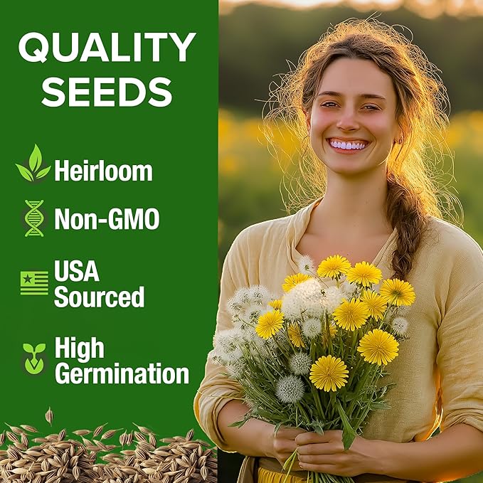 HOME GROWN Flower Seeds Giant (Dandelion, 1-Pack)