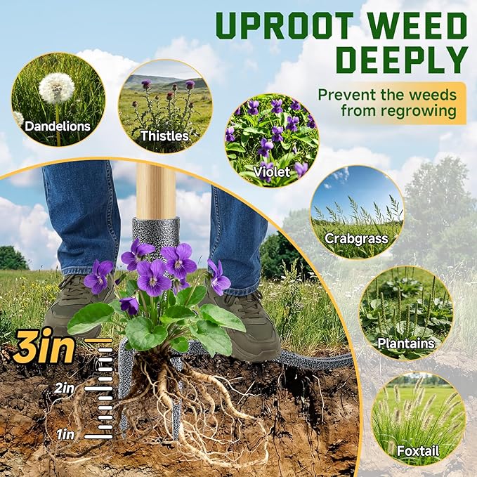 Weed Puller Tool, Stand Up Heavy Duty Weed Remover Tool with Long Handle & 4-Claw Steel Head, Bamboo Garden Hand Weeding Tool - Easily Remove Weeds Without Bending, Pulling,or Kneeling