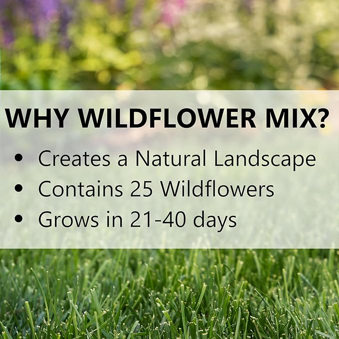 Jonathan Green (12384) Wildflower & Meadow Grass Mix (1 lb)