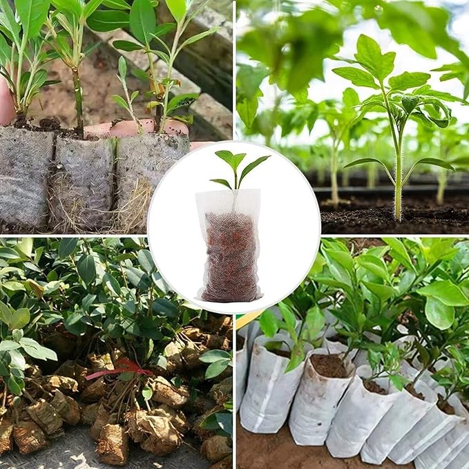 Tarklanda 100pcs Grow Bags, Biodegradable Non-Woven Plant Nursery Bags, 9.8*9.8 Inches, White, Indoor Use