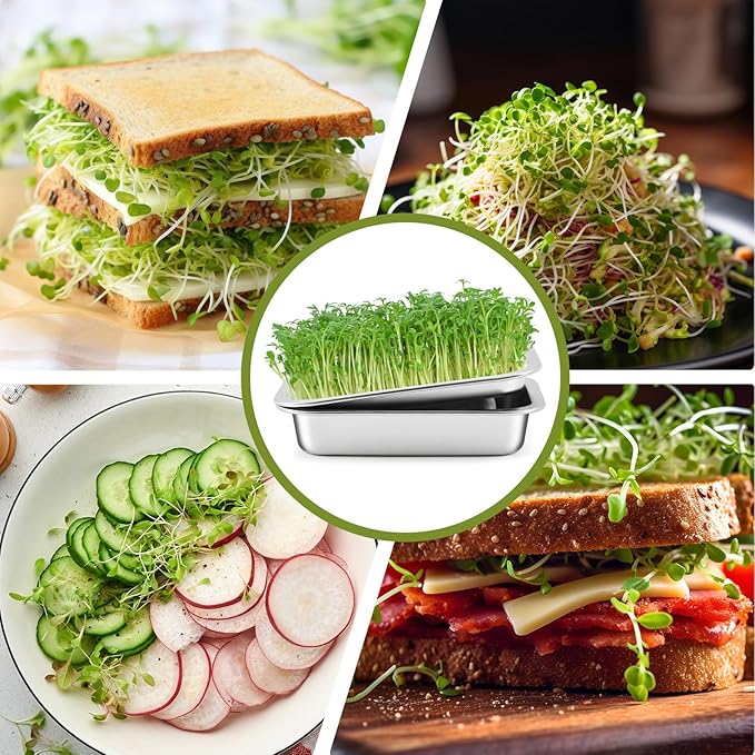 1 Pack Seed Sprouting Kit with Lid, 10.4 Inch Stainless Steel Soilless Culture Germination Tray, Microgreens Growing Kit, Encrypted Mesh Seed Starter Tray for Beans Alfalfa Broccoli Wheat Grass