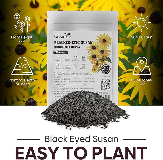 Black Eyed Susan Seeds, 7500+ Perennial Flower Seed to Plant Indoor & Outdoor, Attract Pollinators | Non-GMO | Heirloom Wildflowers Seeds, USDA Zone 3-9