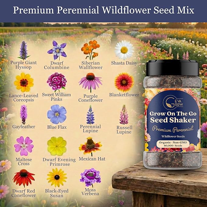 Wildflower Seed s – Perennial Flower Seeds Mix to Plant Anywhere, by Geva Grow | 12-Type Beautiful Perennial Wildflower Seeds Bulk 90,000+ Seeds, 2 Ounce, No Messy Packets