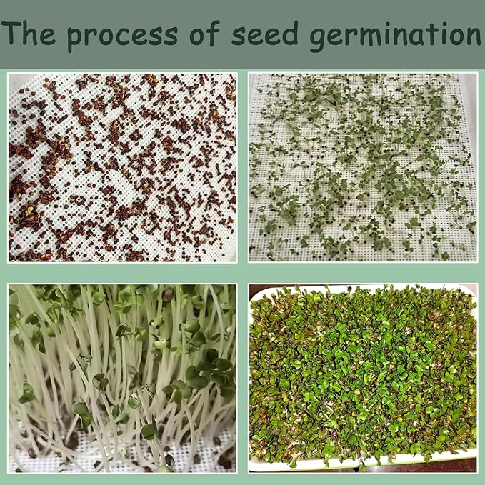 4 Pcs Seed Sprouting Mesh, 11 * 8.28 Inches Silicone Seed Sprouting Tray Mesh Mat, Hydroponic Growing Mats for Microgreens Growing Kit