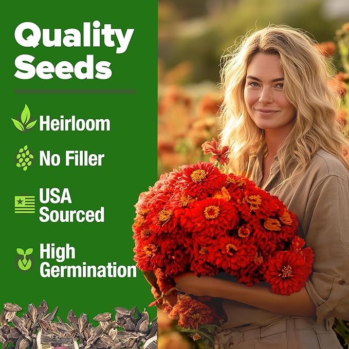 HOME GROWN Will Rogers Zinnia Seeds - 300 Zinnia Flower Seeds for Planting Outdoors - Tall Zinnia Elegans Cut Flowers - Heirloom Non-GMO Zinnia Seeds for 2026