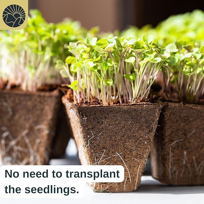 SunVara Seed Starter Peat Pots for Seedlings 300 pcs Biodegradable Seed Starter Pots