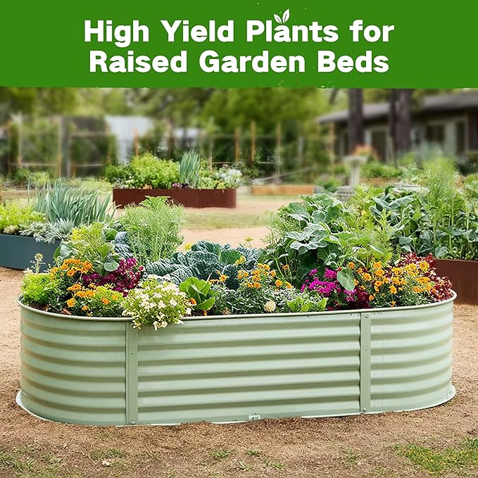 Lush&Dew Raised Garden Bed Heirloom Seed Bank, 32 Varieties 30,000+ Non-GMO Seeds for Planting Vegetables Herbs Fruits Year-Round, Gardening Gifts for Women Men, Survival Seed Kit for Food Supplies