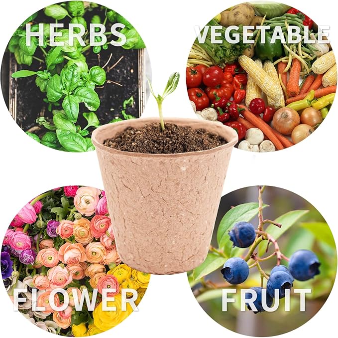 3T GROUP 100 Pack 3.15 Inch Disposable Mini Pots for Plant,Small Compostable Planting Pots,Biodegradable Flower Pots for Vegetables,Fruit with 100 Labels,Tool (100pcs)